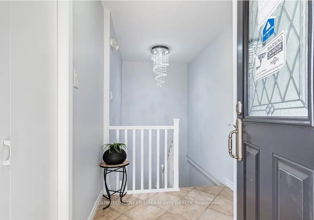 Unit LOWER - 231 Elizabeth Street S, Brampton 2