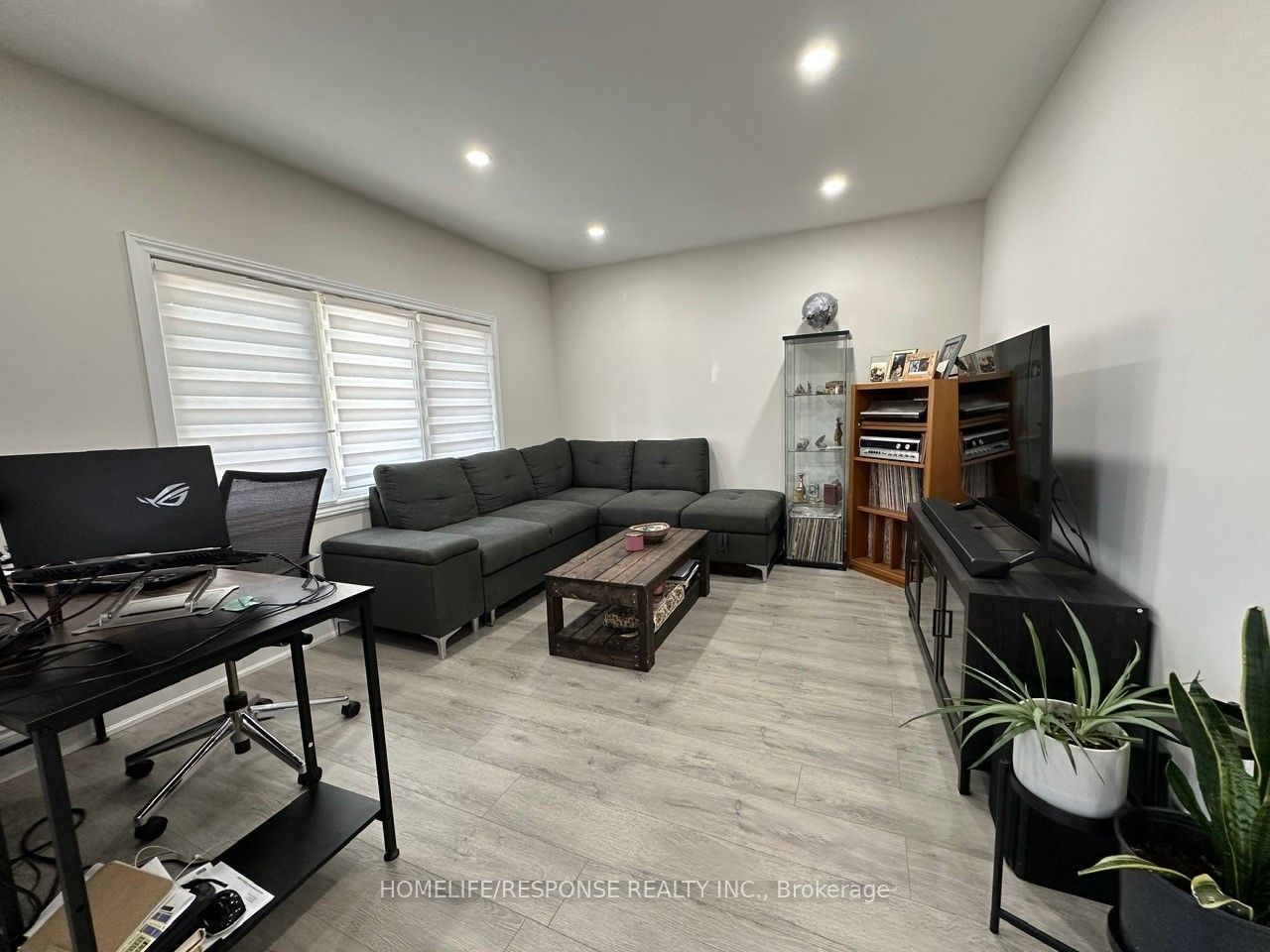 88 Shelby Avenue, Hamilton 3